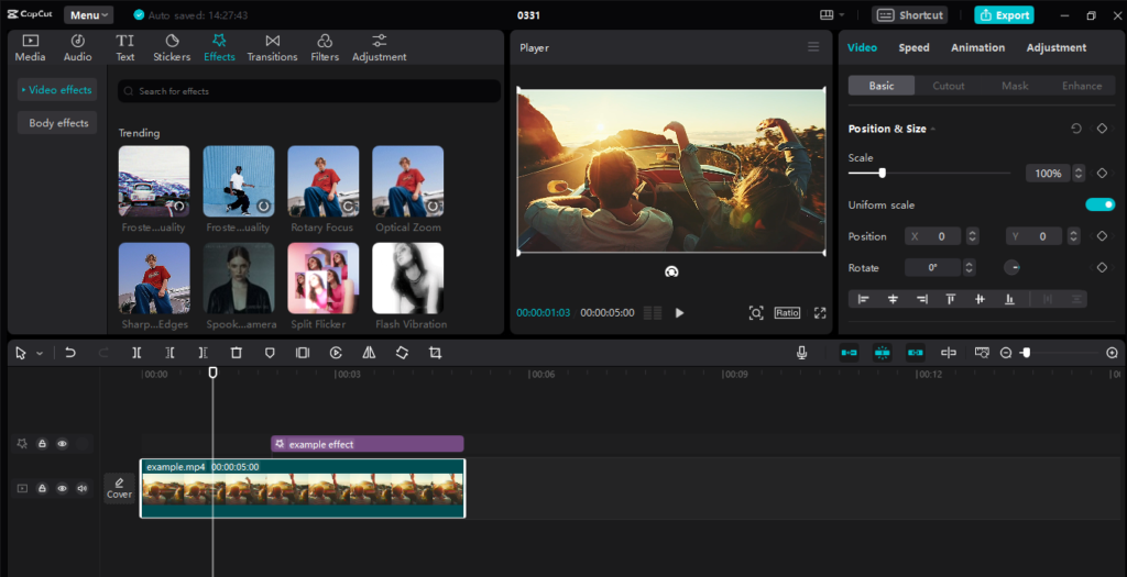 User Interface and Workflow